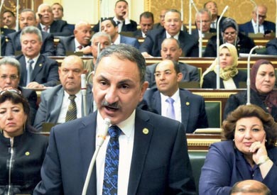 مجدي ملك، رئيس لجنة تقصي حقائق فساد القمح