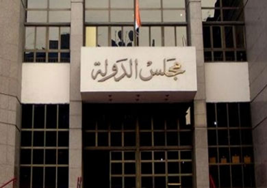 مجلس الدولة
