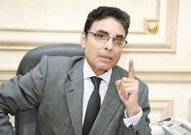 محمود كبيش أستاذ القانون الدستوري بجامعة القاهرة