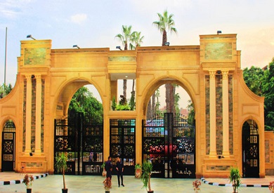 جامعة المنصورة