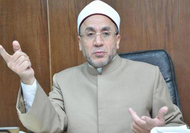 الدكتور محيى عفيفى