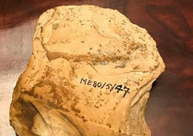 سفارة مصر في بروكسل تتسلم فأسا أثريا يعود للعصر الحجري