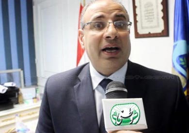 محمد سلطان، محافظ البحيرة