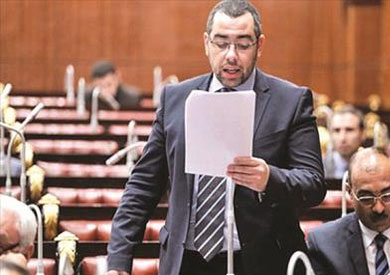 محمد فؤاد عضو مجلس النواب