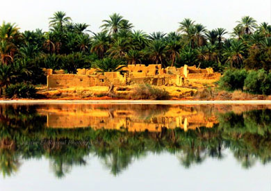 واحة سيوة