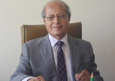 السفير رخا أحمد حسن، عضو المجلس المصري للشؤون الخارجية