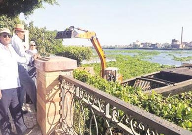 استمرار اعمال ازالة ورد النيل من فرع رشيد