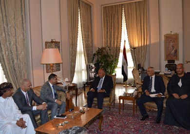 سامح شكري، وزير الخارجية