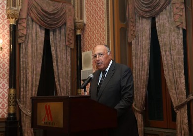 وزير الخارجية سامح شكري