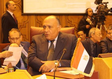 وزير الخارجية سامح شكري
