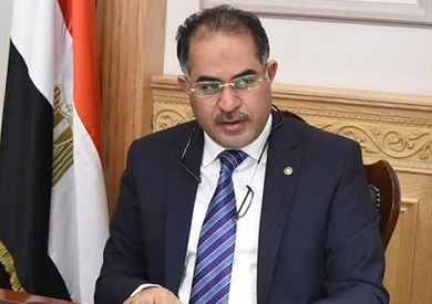 النائب سليمان وهدان، وكيل مجلس النواب