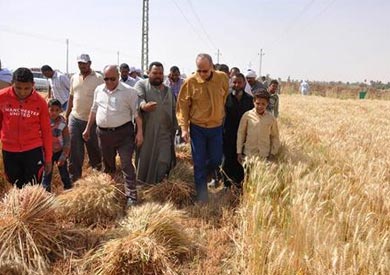 محافظ الوادى الجديد يشهد موسم الحصاد بمنطقة عين منصور بمركز باريس