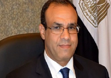 السفير بدر عبد العاطى