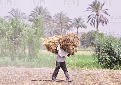 تصوير-احمد عبد الفتاح