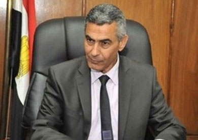 وزير النقل-سعد الجيوشى