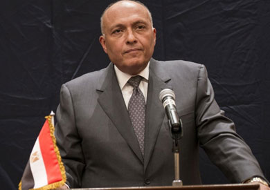 وزير الخاجية سامح شكري