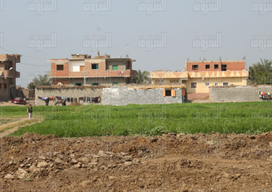 تصوير: جيهان نصر