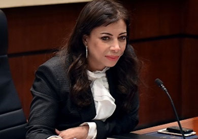 داليا خورشيد، وزيرة الاستثمار