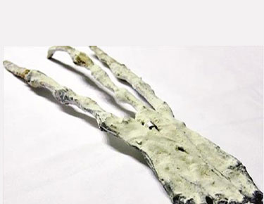 يد عملاقة بثلاثة أصابع.