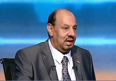 نائب رئيس اتحاد المصريين العاملين بأوروبا، ولاء مرسى