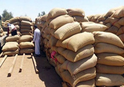 أرشيفية