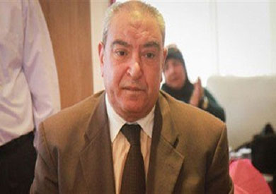 محافظ المنيا