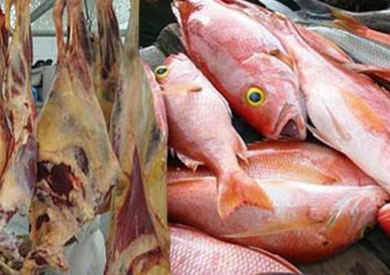 ضبط 36 طن لحوم وأسماك فاسدة - ارشيفيه