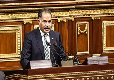 وكيل مجلس النواب النائب سليمان وهدان