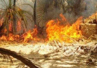 حريق كبير بقطعة أرض زراعية بمركز الخارجة بالوادى الجديد
