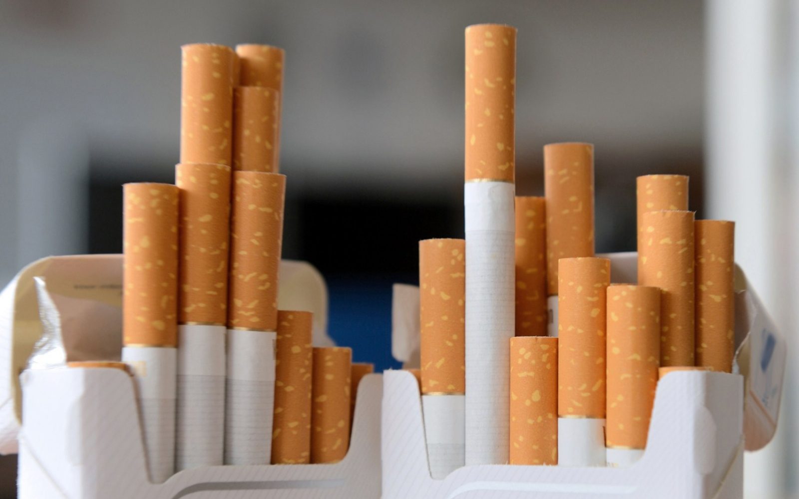 6 شركات رفعت أسعار السجائر بقيمة تتراوح بين 8 و10 جنيهات