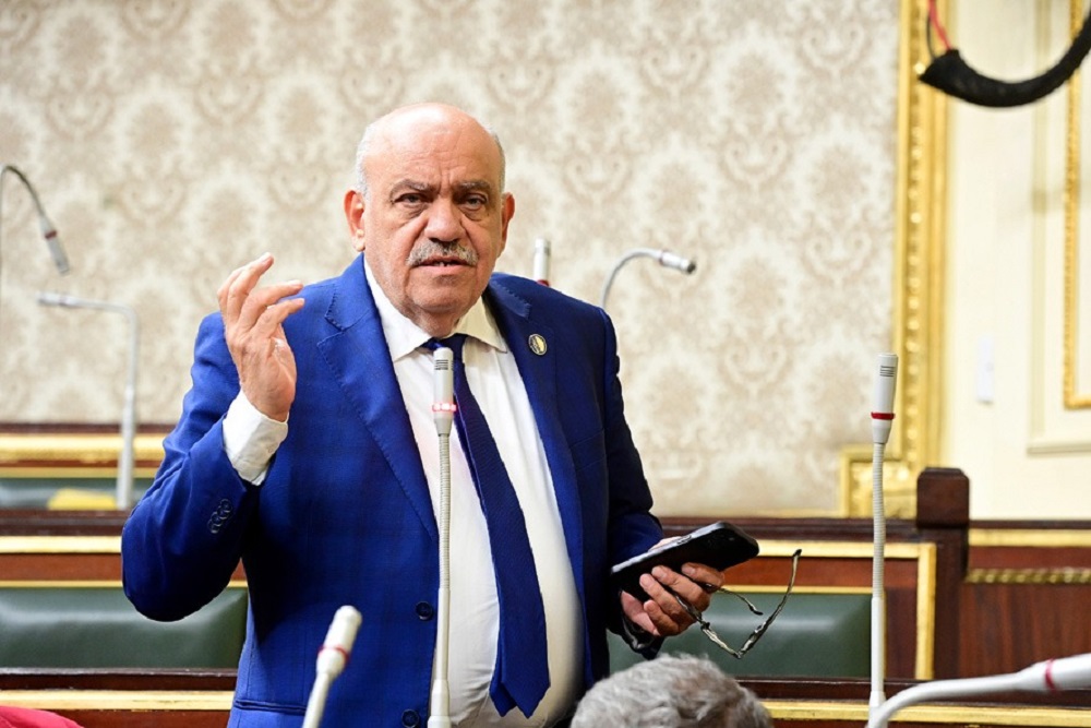 النائب سيد حنفى طه