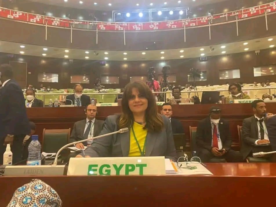 مصر تشارك في الاجتماع الاستثنائي للمجلس التنفيذي للاتحاد الإفريقي