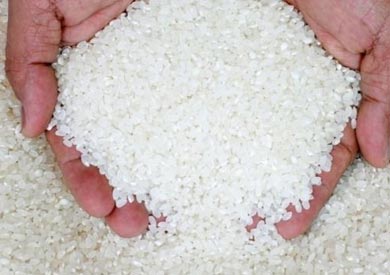 شحاتة: لا توجد أى أزمة فى سلعة الأرز وهو الأكثر توافرًا
