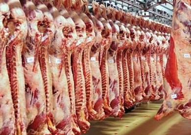 نقيب الجزارين: ارتفاع أسعار اللحوم بسبب جشع أصحاب المزارع