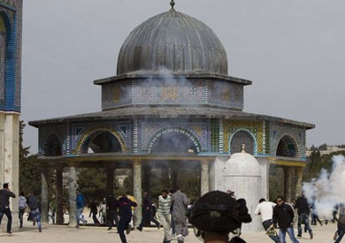 ارشيفية