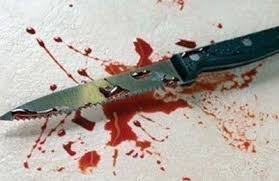 «استرجي» يمزق جسد زميله بسبب «كارت ميموري» بقليوب