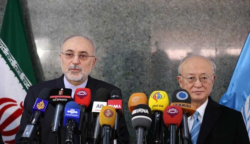 إيران تناقش بناء محرك يعمل بالدفع النووي مع مدير الوكالة الدولية الذرية