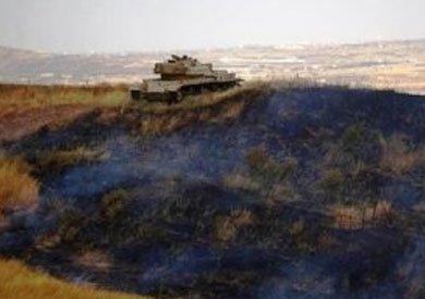 ارشيفية