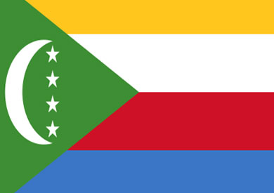 ارشيفية