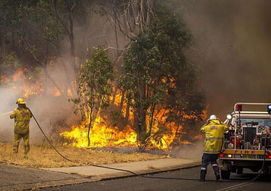 حرائق الغابات في استراليا - ارشيفية