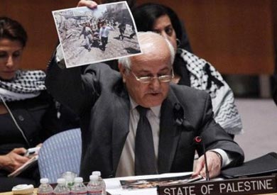 رياض منصور، مندوب فلسطين لدى الأمم المتحدة