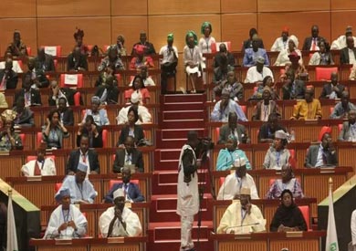 البرلمان السنغالى ارشيفية