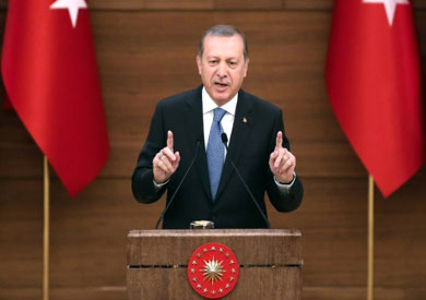 اعتقال صحفية هولندية في تركيا استهدفت أردوغان بـ«تغريدات»