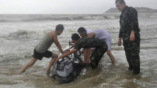 أقوى إعصار يضرب جنوبي الصين منذ 40 عاما.