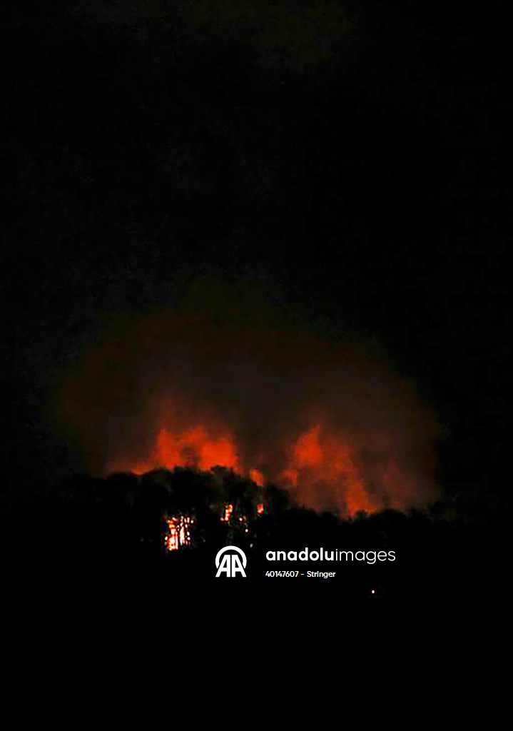 وكالة الأناضول<br/>