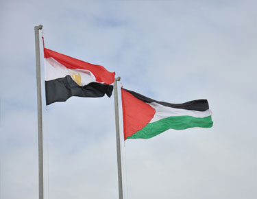 علمى مصر وفلسطين
