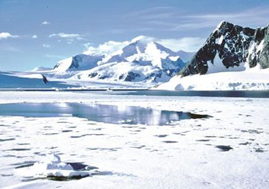 القطب الجنوبي