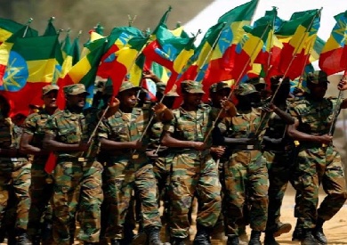 القوات الإريترية