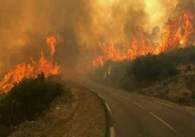 حرائق الغابات بالجزائر