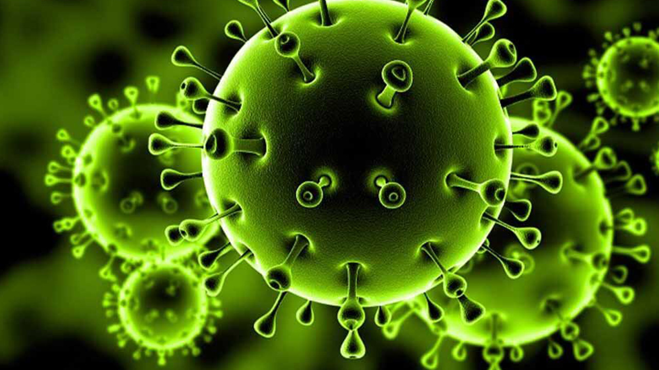 خبيرة فيروسات تعلن موعد إنتهاء جائحة فيروس كورونا في مصر